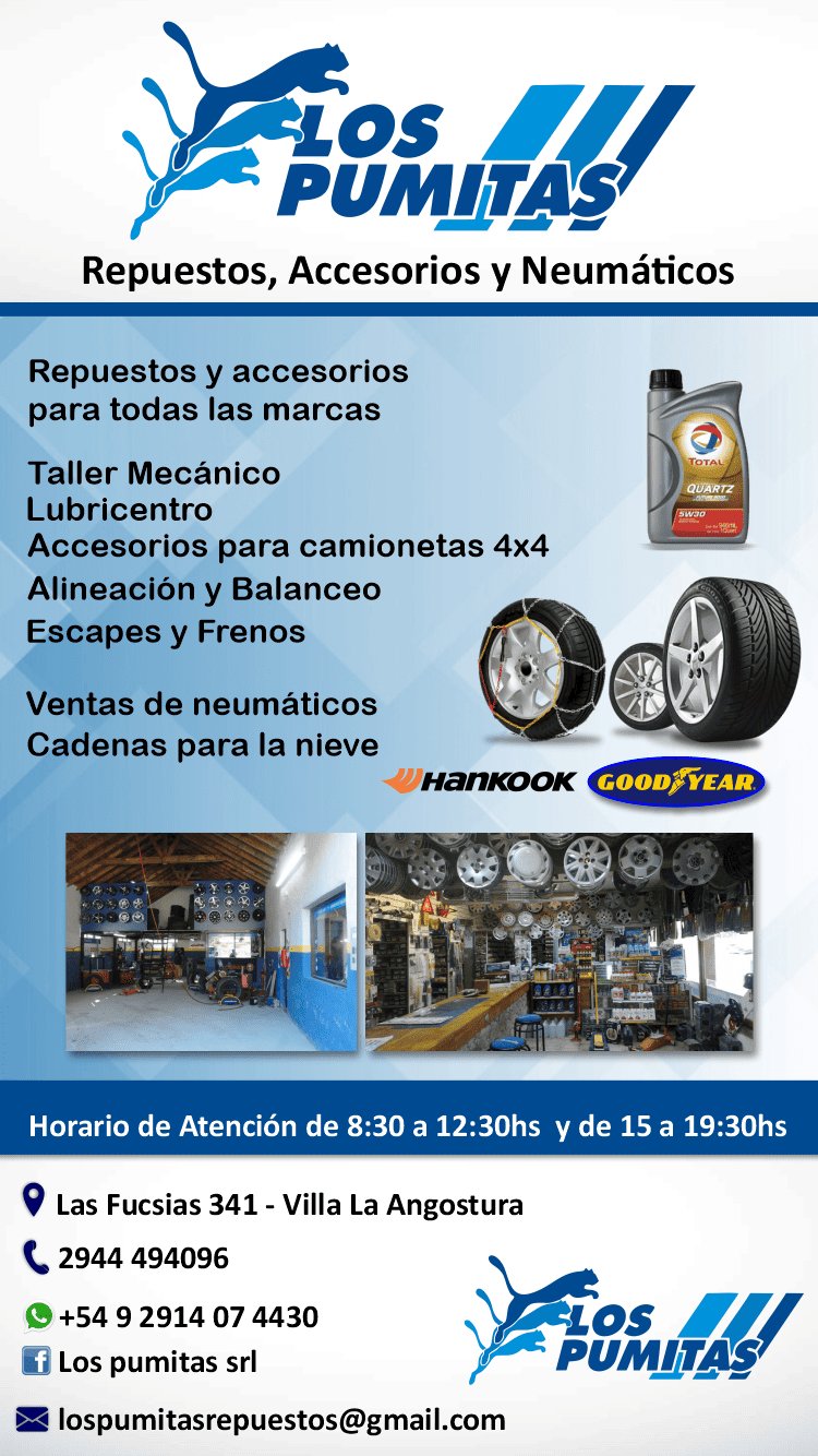 repuestos cadenas nieve villa la angostura